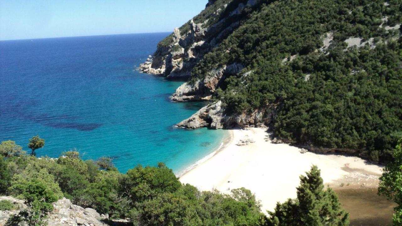 White Rose Suite Apartment Cala Gonone Esterno foto